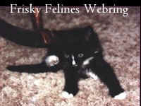 Join the Frisky Felines Webring