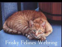 Join the Frisky Feline's Webring